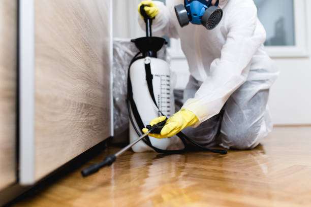 Best Pest Prevention Services  in Holliday, TX