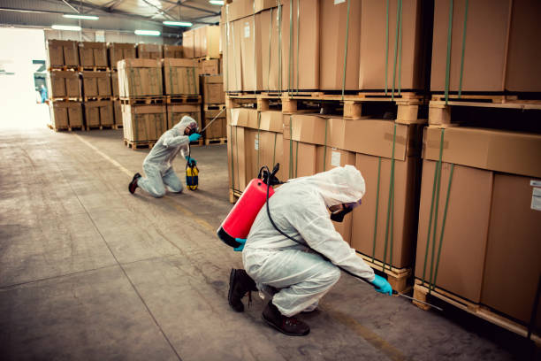 Professional Pest Control in Holliday, TX