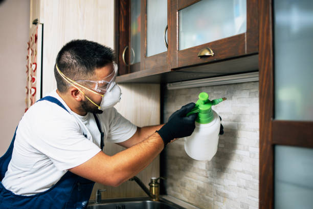 Best Cockroach Control Services  in Holliday, TX