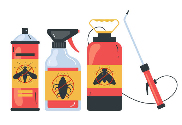 Best Local Pest Control Services  in Holliday, TX