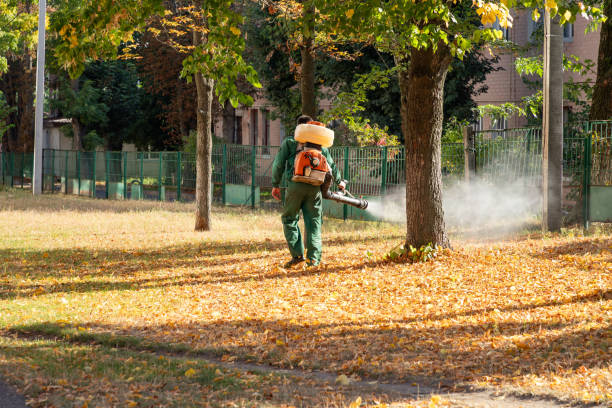 Best Mosquito Control Services  in Holliday, TX